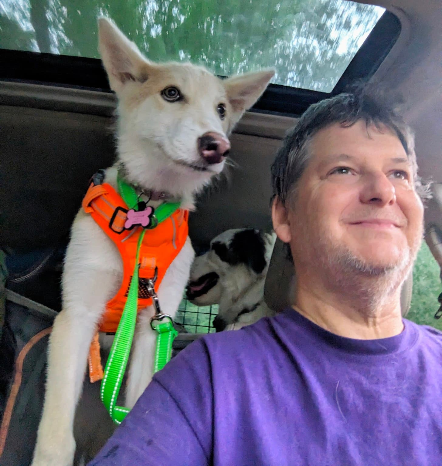 Jeff Tawater in a vehicle with dogs during a real-world training outing